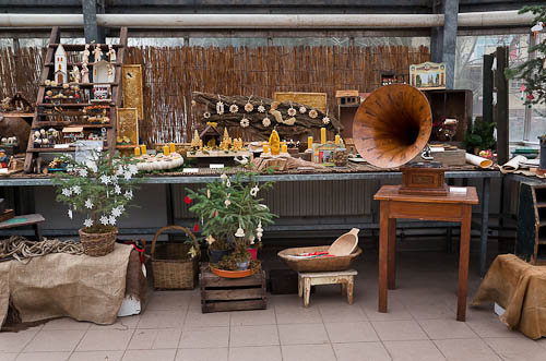 Výstava 2025 - foto 16