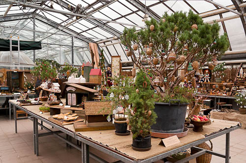 Výstava 2025 - foto 26