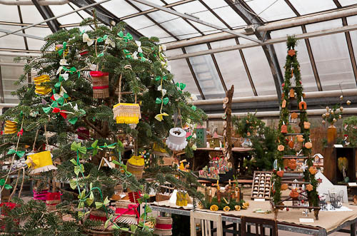 Výstava 2025 - foto 45