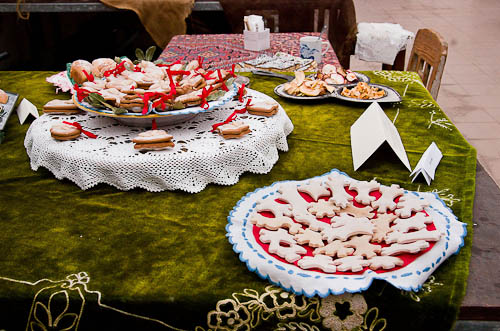 Výstava 2025 - foto 50