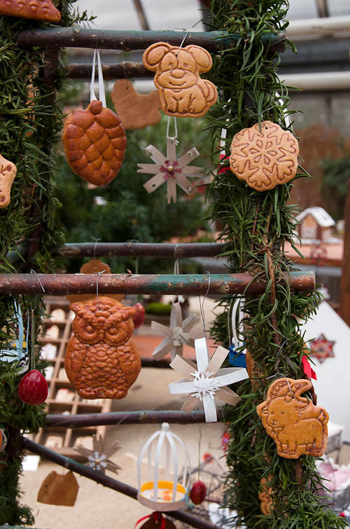 Výstava 2025 - foto 51