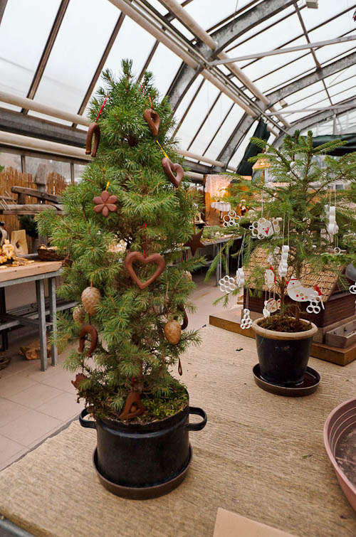 Výstava 2025 - foto 78