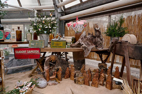 Výstava 2025 - foto 79