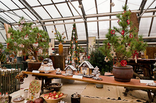 Výstava 2025 - foto 81