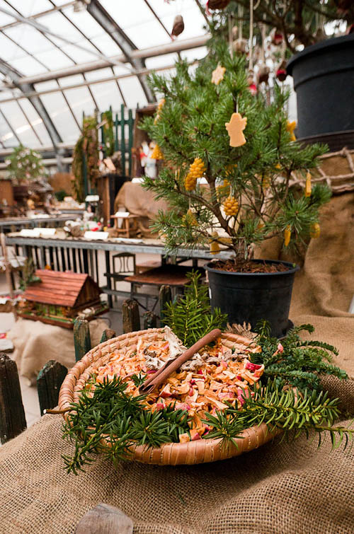 Výstava 2025 - foto 85