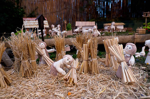 Výstava 2025 - foto 96