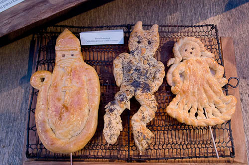 Výstava 2025 - foto 99