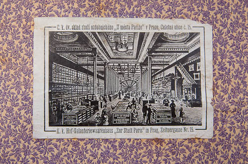 Výstava 2025 - přípravy - foto 13